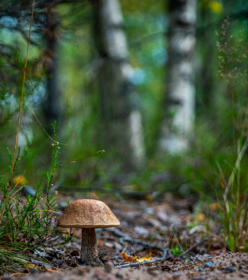 S2E Renewable Energy