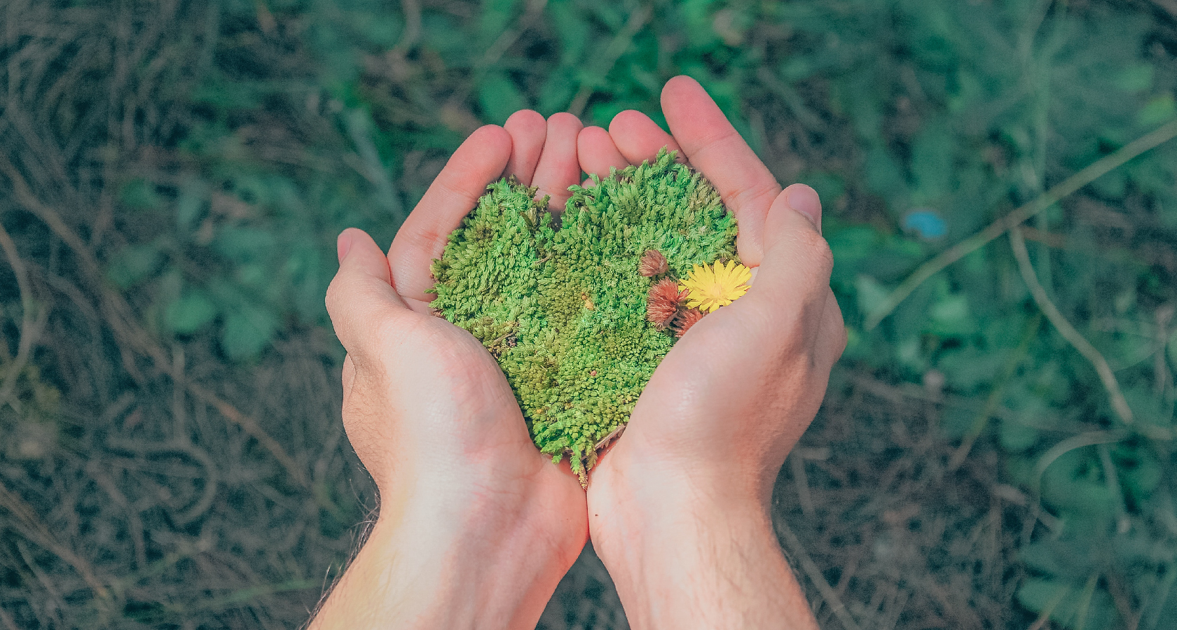 S2E Renewable Energy